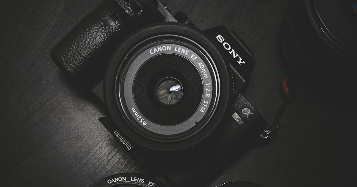 Why a 'No App Required' Wedding Photo App Gets You 3× More Photos